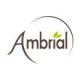 Ambrial