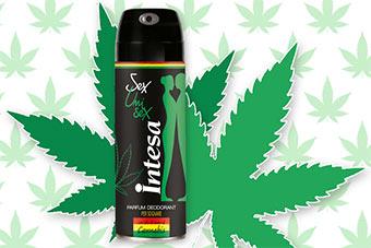 Intesa Unisex CANNABIS - Intesa Unisex Parfum Deodorant CANNABIS