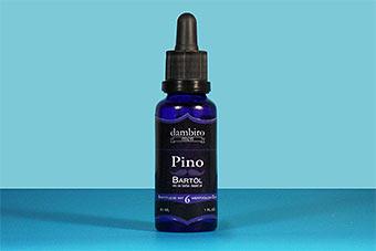 Unser Bartöl - Das dambiro men Bartöl mit Pinienduft