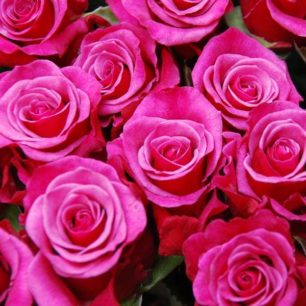 Am 14. Mai ist Muttertag - Zaubern Sie Ihrer Mutter ein Lächeln aufs Gesicht - Am 14. Mai ist Muttertag - Zaubern Sie Ihrer Mutter ein Lächeln aufs Gesicht