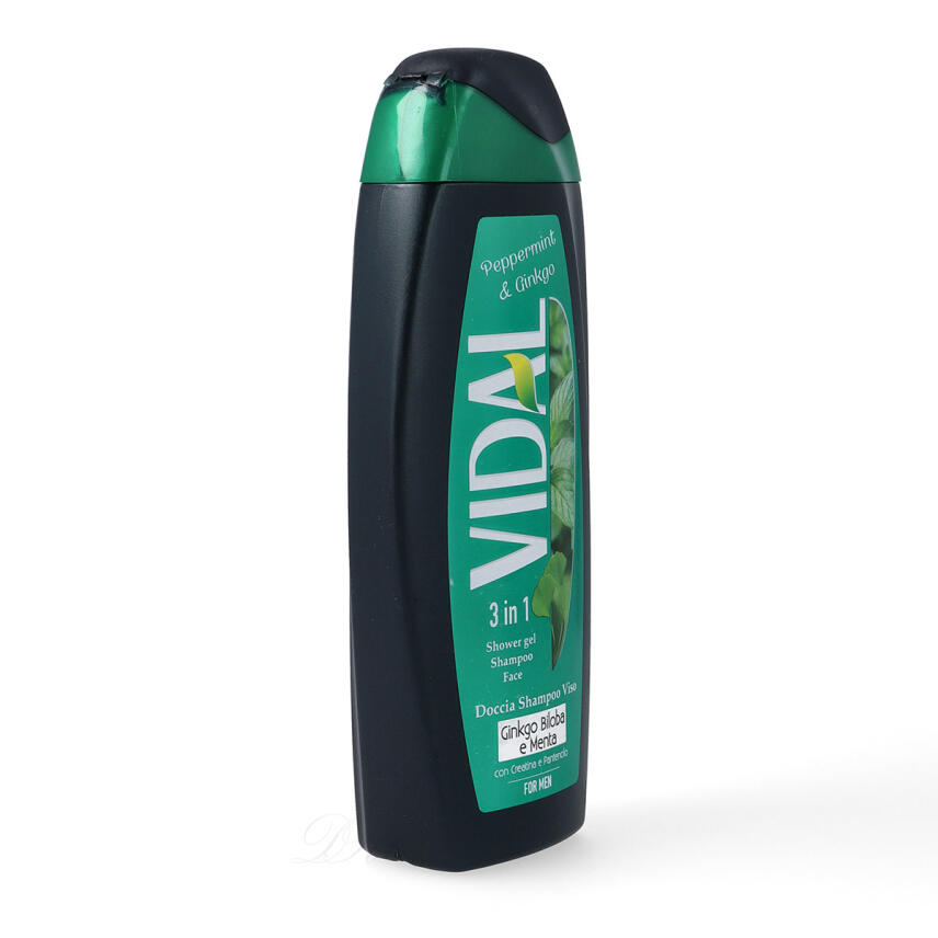 Vidal Peppermint &amp; Ginkgo Duschgel &amp; Shampoo for men 250 ml 