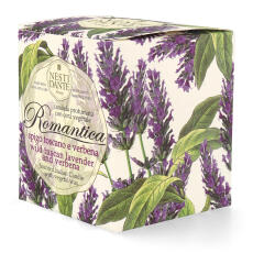 Nesti Dante Romantica Spigo Toscano e Verbena Duftkerze 160g