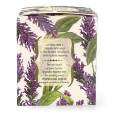 Nesti Dante Romantica Spigo Toscano e Verbena Duftkerze 160g