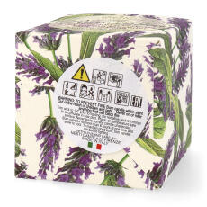 Nesti Dante Romantica Spigo Toscano e Verbena Duftkerze 160g