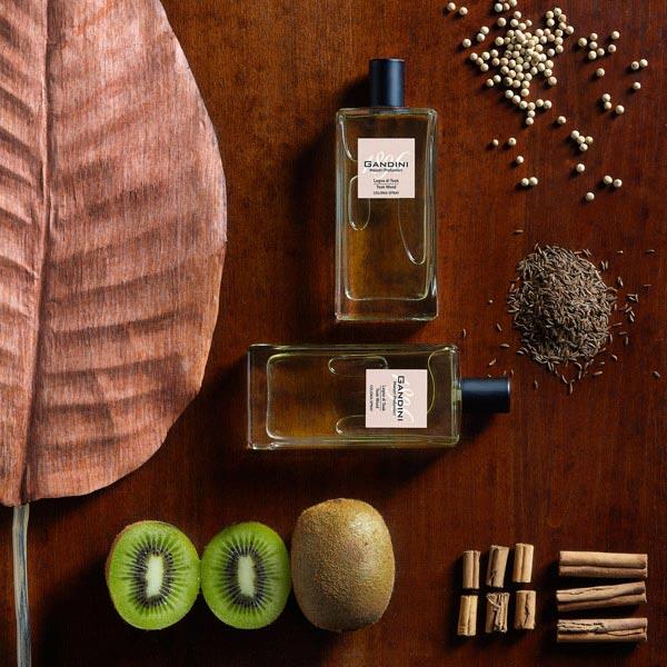 Gandini 1896 Teak Wood Eau de Cologne 100 ml