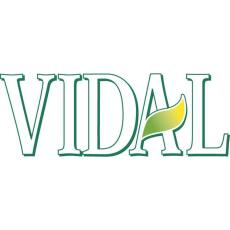 VIDAL Badeschaum Tropical Sunset Vanille &amp; Lime 500ml