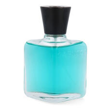 Capucci Blu pour Homme Eau de Parfum 100 ml