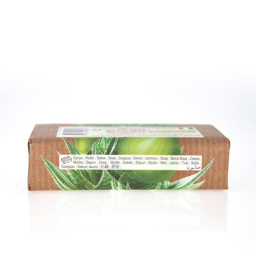 Nesti Dante Marsiglia in Fiore Fico e Aloe Vera Vegane Seife 125 g