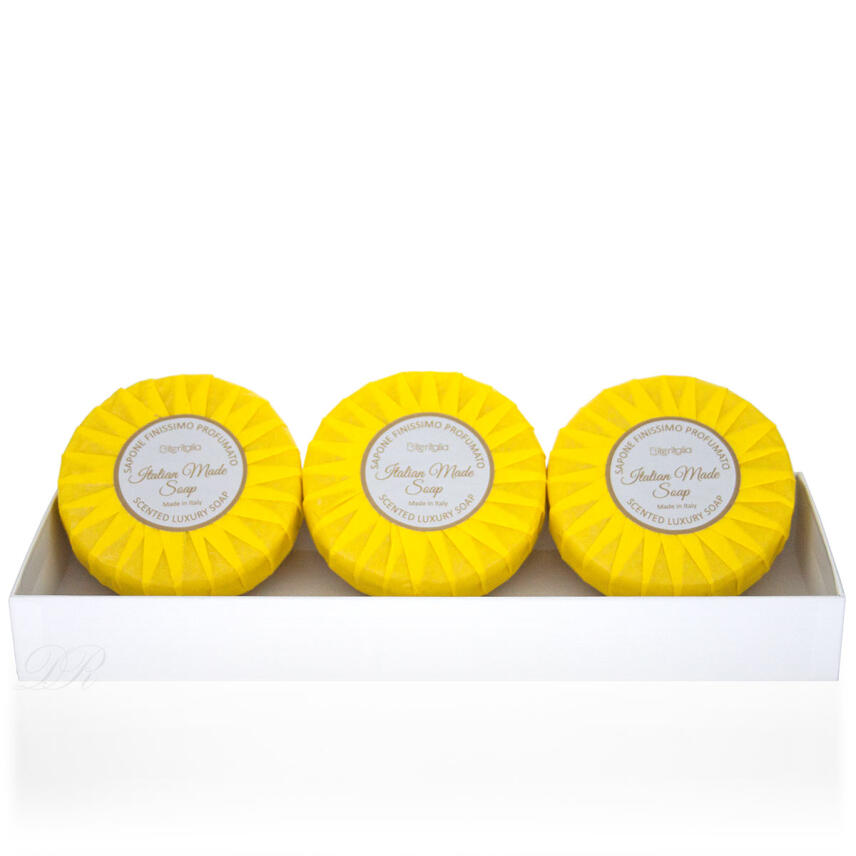 Iteritalia Box Geschenkset in Pliss&egrave; Papier Vaniglia e Spezie Seife 3 x 100 g