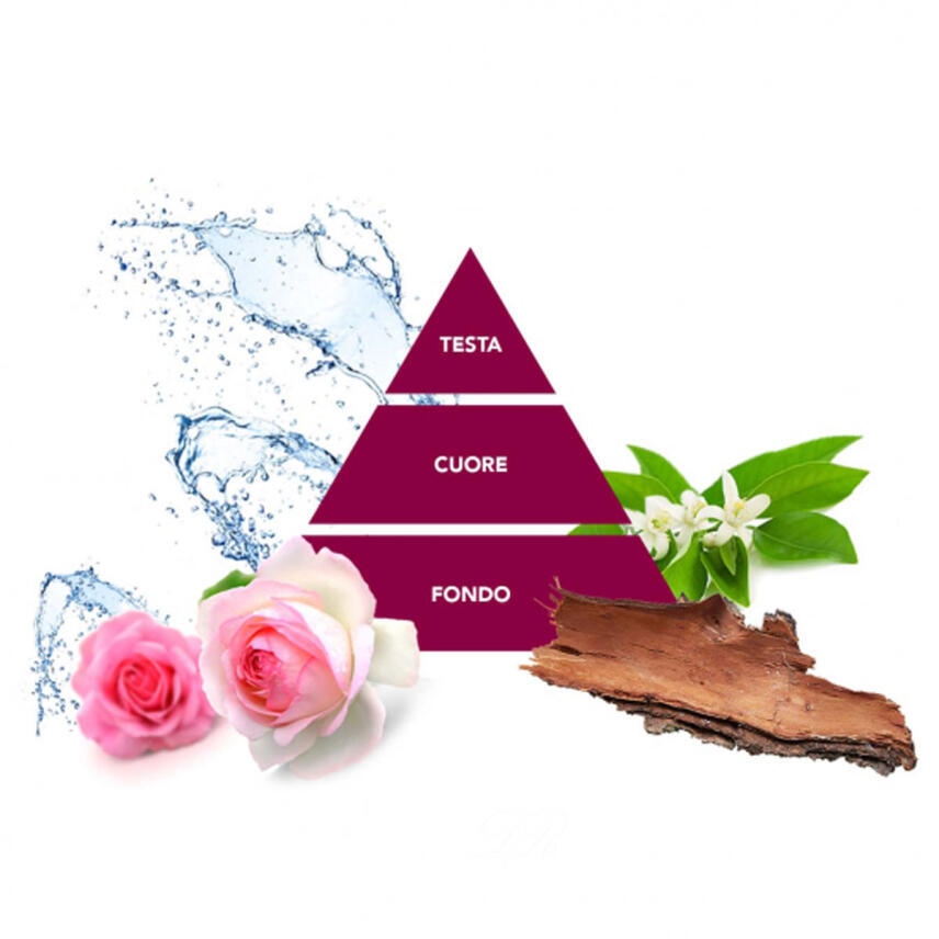 PAGLIERI Felce Azzurra Aria Casa Raumduft Notte d&acute;Estate 250 ml