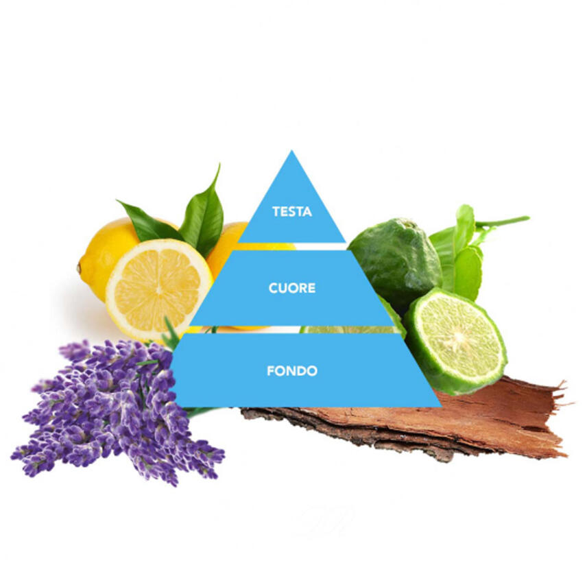 Paglieri Felce Azzurra Aria Casa Raumduft Pura montagna 250 ml