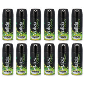 MALIZIA UOMO Sound deodorant 100 ml for men