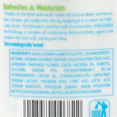 VIDAL Duschgel Kokoswasser 250 ml