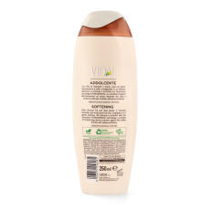 VIDAL Mandel &amp; Sheabutter Duschgel 250 ml