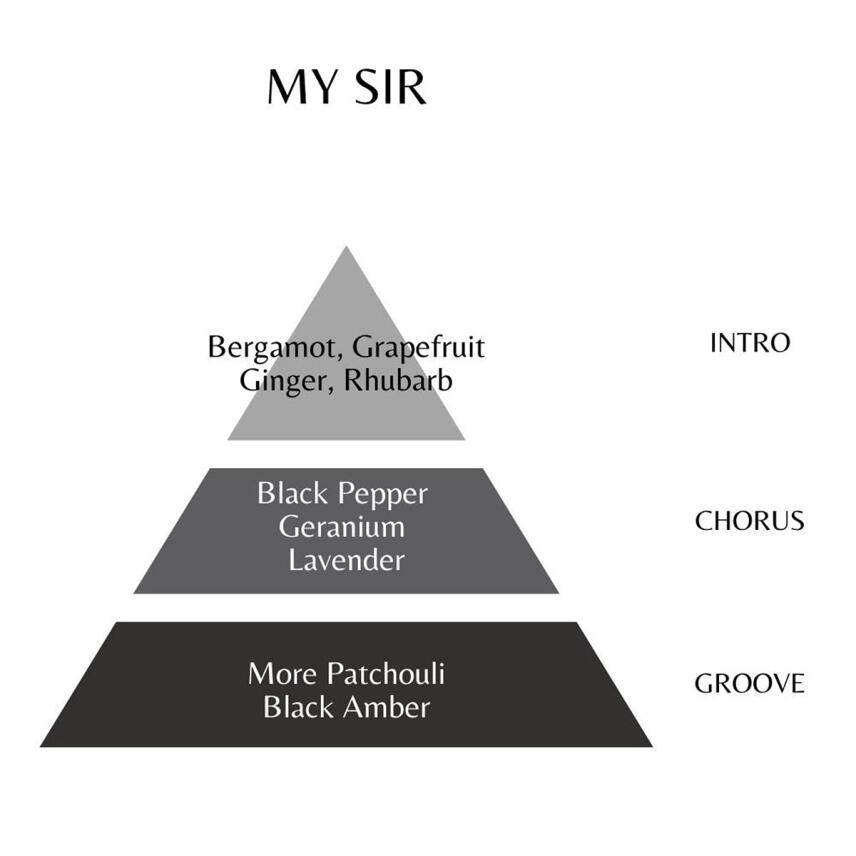 roccobarocco my Sir Eau de Parfum f&uuml;r Herren 100 ml