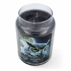 Village Candle Fantasy Fun Wizards Owl Scented Candle...