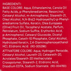 Just For Men Kastanienbraun dunkel colorierendes Shampoo H45 27,5ml + 38,5ml