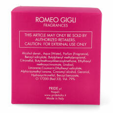 Romeo Gigli One Love Eau de Parfum Damen 100 ml vapo