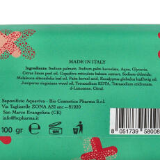 Saponificio Aquaviva Speciali Igenizzante 100 g