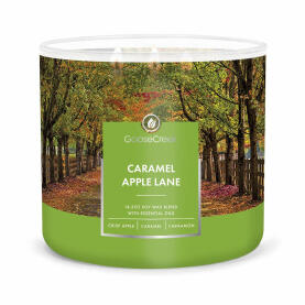 Goose Creek Candle Caramel Apple Lane 3-Wick Scented...