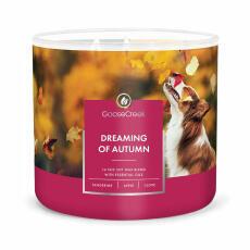 Goose Creek Candle Dreaming of Autumn 3-Docht Duftkerze 411 g