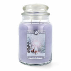 Goose Creek Candle Sweet Pine &amp; Snowflakes 2-Docht...