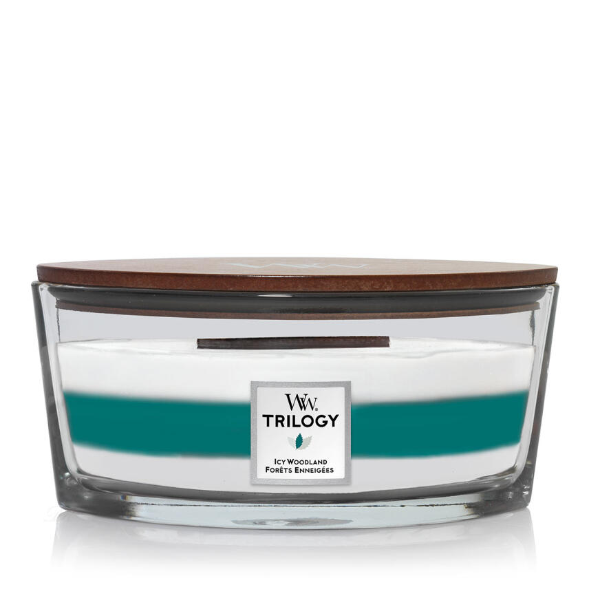 WoodWick Icy Woodland Trilogy Ellipse Duftkerze 454 g