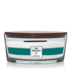 WoodWick Icy Woodland Trilogy Ellipse Duftkerze 454 g