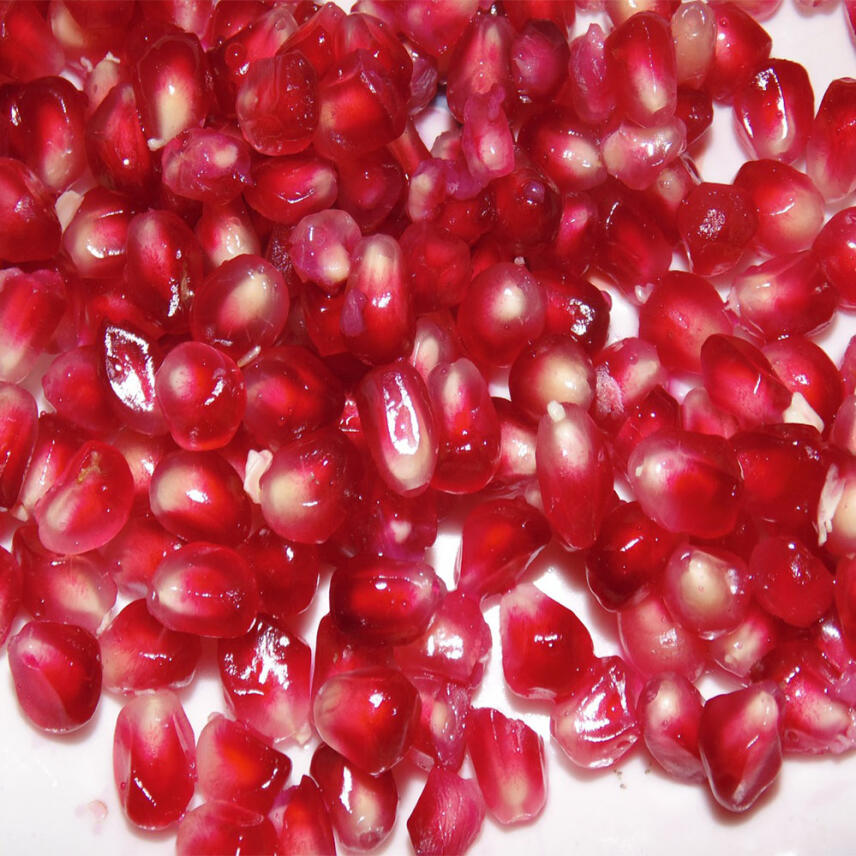 Clinians Repair Gesichtscreme Granatapfel 50 ml