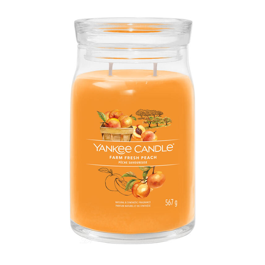 Yankee Candle Farm Fresh Peach Signature Duftkerze Gro&szlig;es Glas 567 g