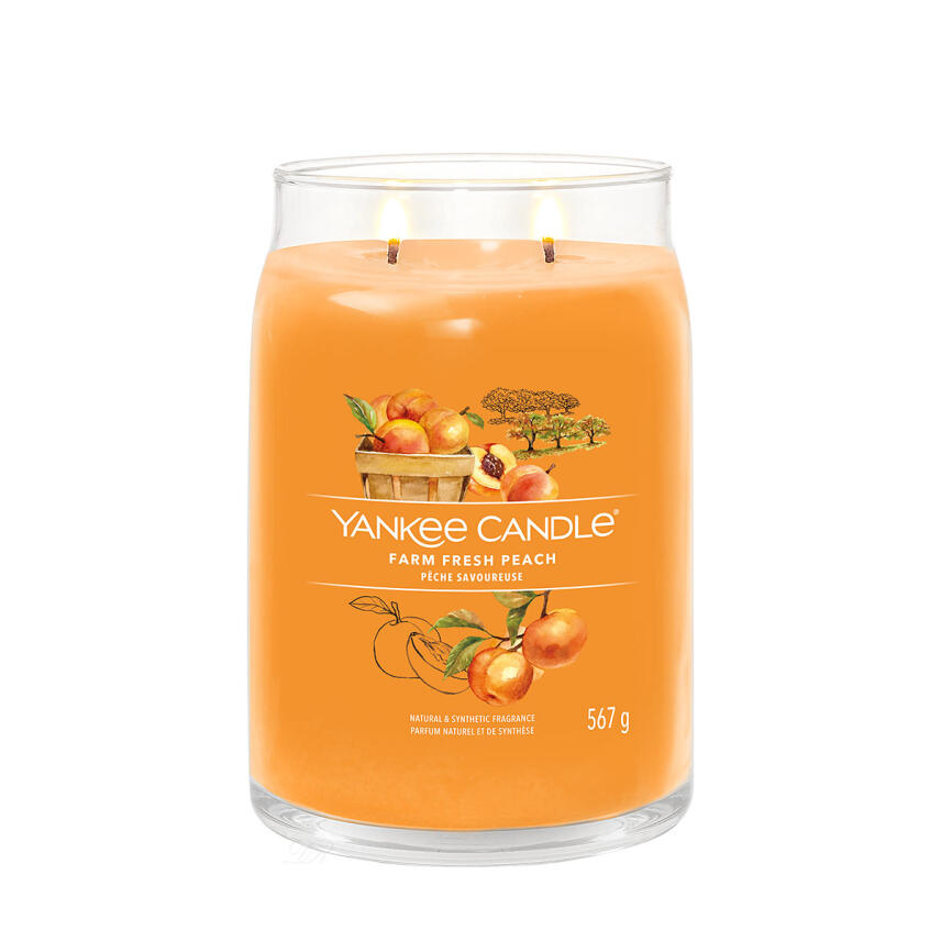 Yankee Candle Farm Fresh Peach Signature Duftkerze Gro&szlig;es Glas 567 g