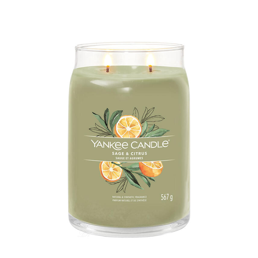 Yankee Candle Sage &amp; Citrus Signature Duftkerze Gro&szlig;es Glas 567 g