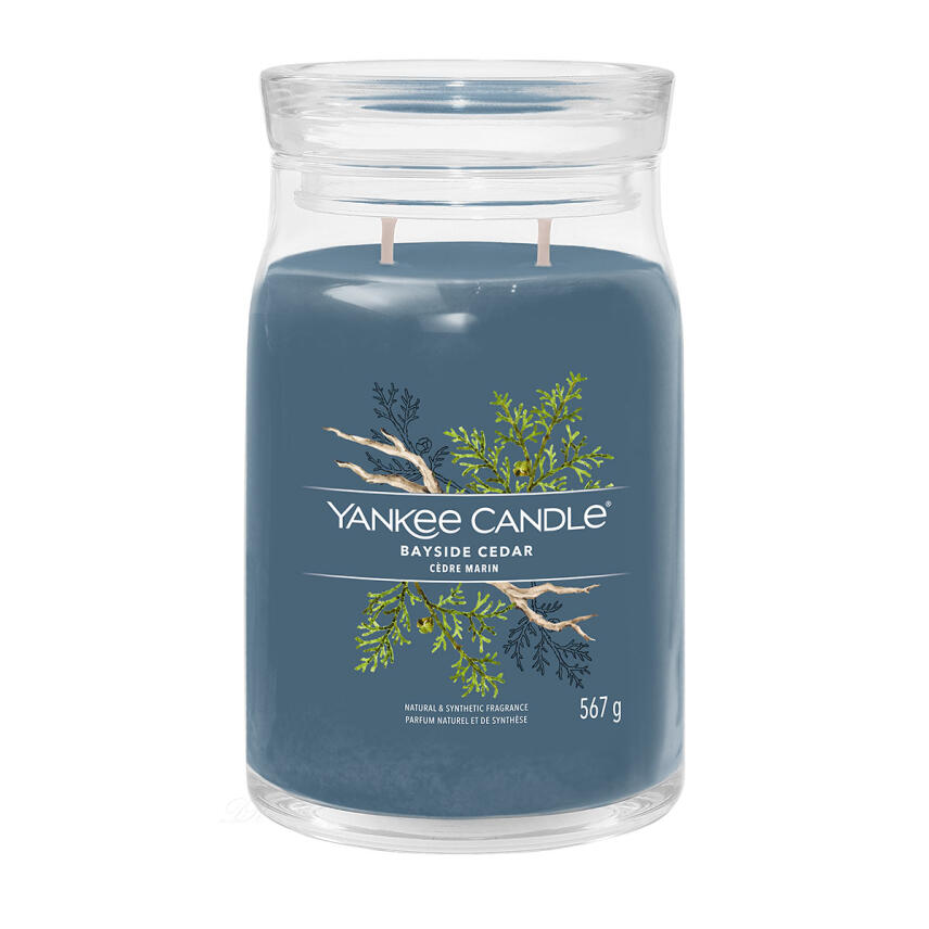 Yankee Candle Bayside Cedar Signature Duftkerze Gro&szlig;es Glas 567 g