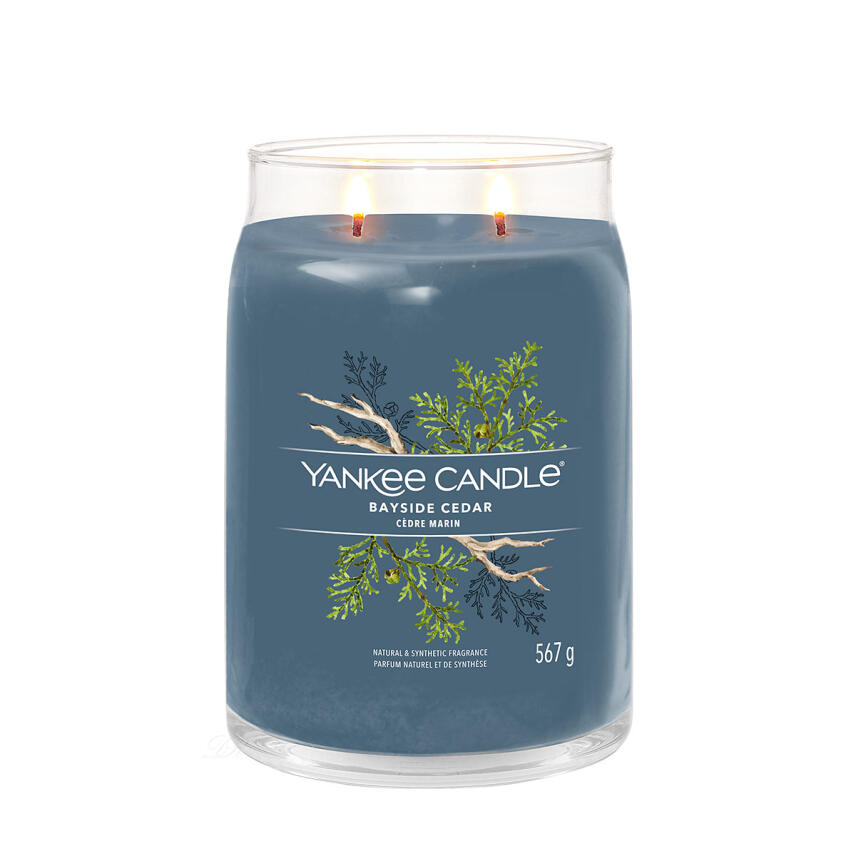 Yankee Candle Bayside Cedar Signature Duftkerze Gro&szlig;es Glas 567 g