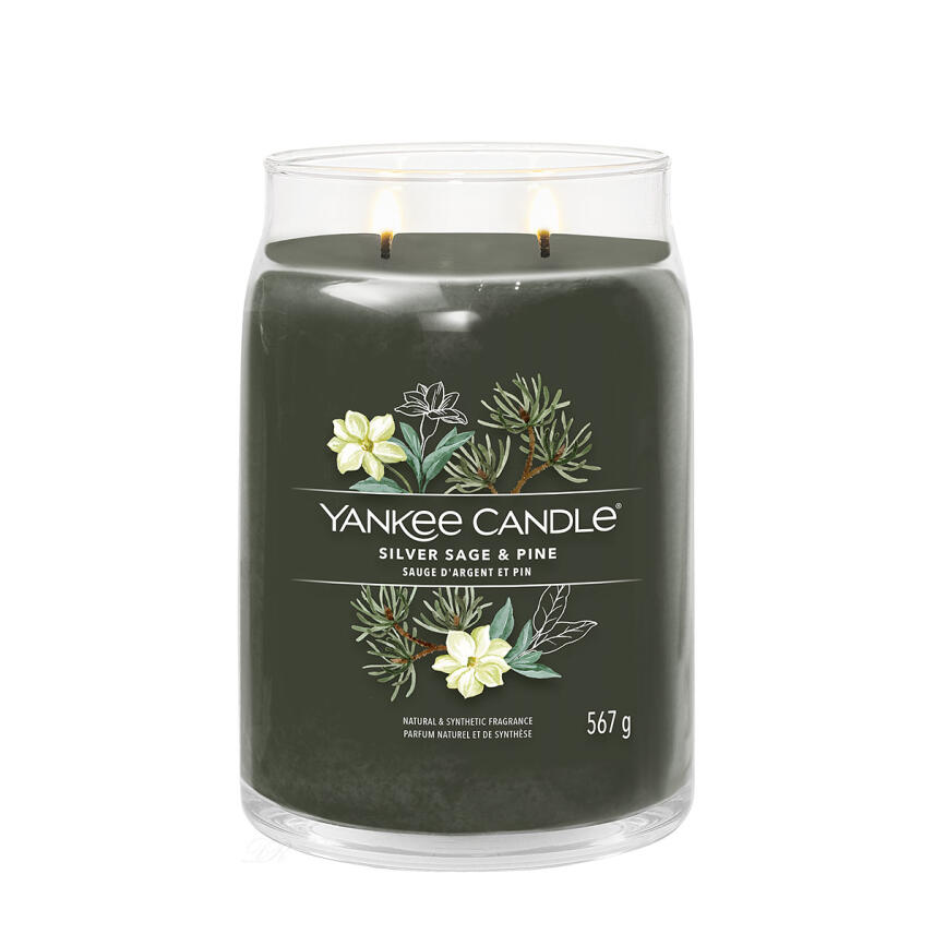 Yankee Candle Silver Sage &amp; Pine Signature Duftkerze Gro&szlig;es Glas 567 g