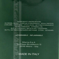 Enrico Coveri Green Contemporary Eau de Toilette Herren 100 ml