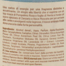 Compagnia delle Indie 9 Menta e Zenzero Parfum de Voyage 100 ml