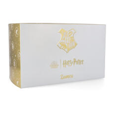 Harry Potter Set Lumos Eau de Toilette100 ml + Notizbuch