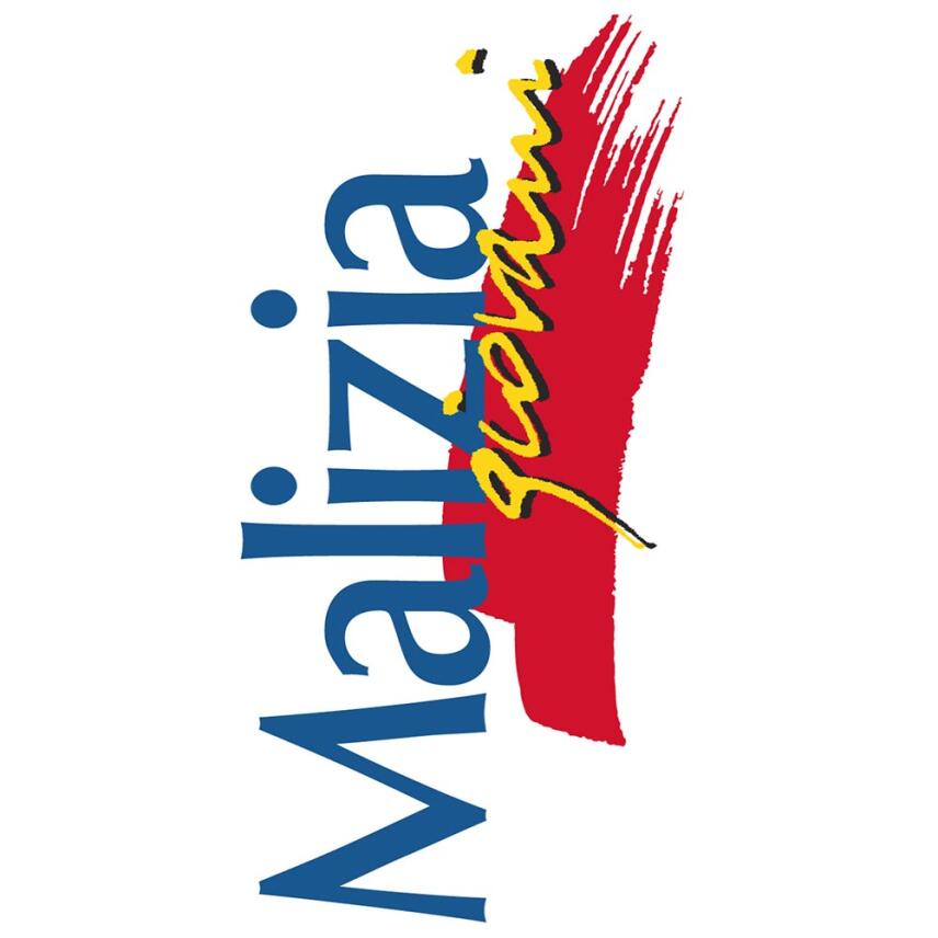 MALIZIA giovani Pump it B5 SCHAUMFESTIGER - 200ml mousse