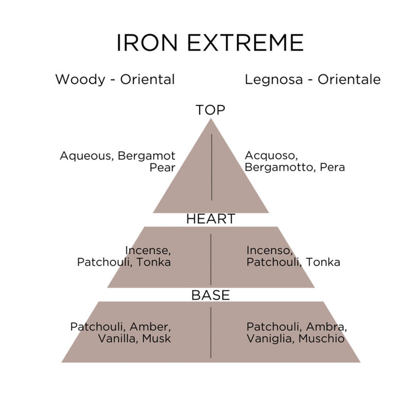 roccobarocco Iron Extreme Eau de Parfum 100 ml vapo