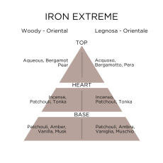 roccobarocco Iron Extreme Eau de Parfum 100 ml vapo