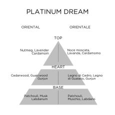 roccobarocco Platinum Dream Eau de Parfum 100 ml vapo