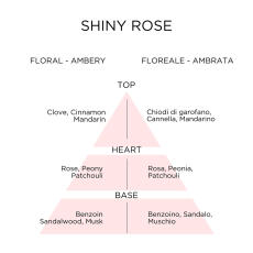 roccobarocco Shiny Rose Eau de Parfum 100 ml vapo