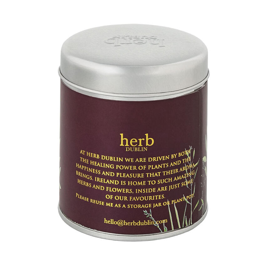 Herb Dublin Comfort &amp; Joy Tin Duftkerze 180 g