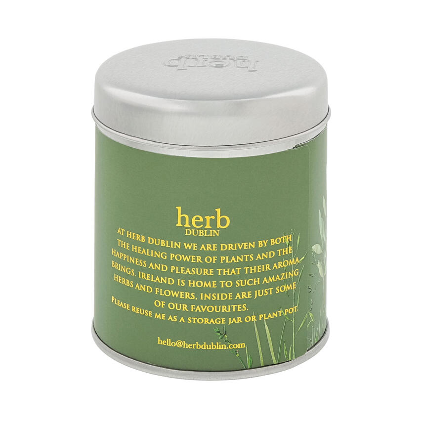 Herb Dublin Mistletoe &amp; Wine Tin Duftkerze 180 g