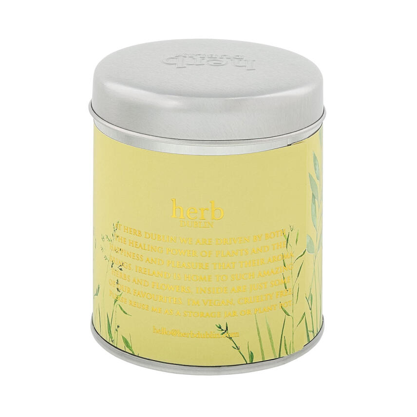Herb Dublin Buttercup &amp; Bee Balm Tin Duftkerze 180 g