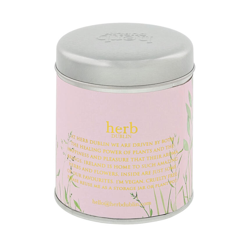 Herb Dublin Rhubarb &amp; Fresh Garden Mint Tin Duftkerze 180 g