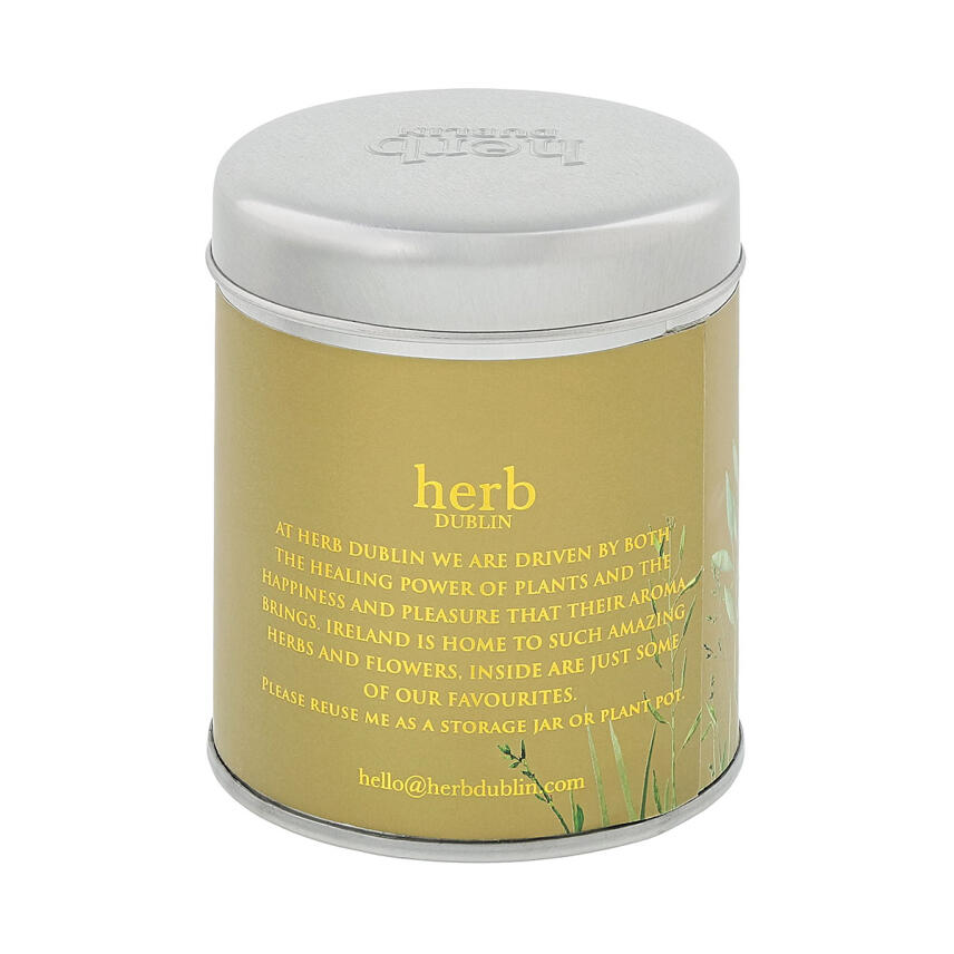 Herb Dublin A Holly Jolly Christmas Tin Duftkerze 180 g