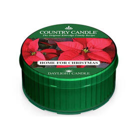 Country Candle Daylight Home for Christmas Duftkerze 42 g