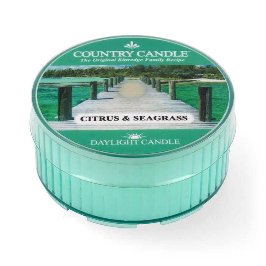 Country Candle Daylight Citrus &amp; Seagrass Duftkerze 42 g